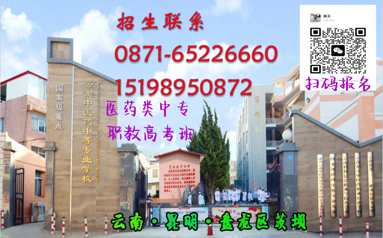 学校关于2025年端午节放假的通知